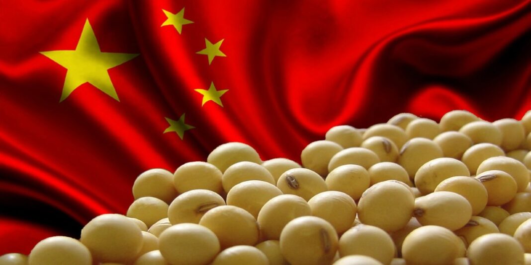 China importará récord de 100 millones de toneladas de soja