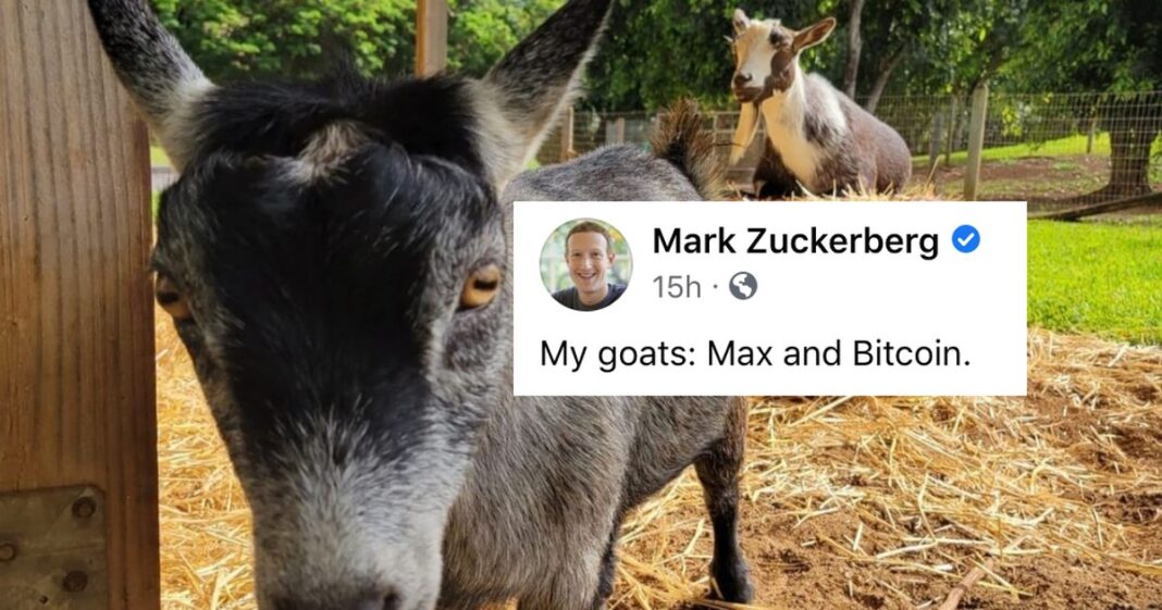Mark Zuckerberg tiene una cabra llamada Bitcoin
