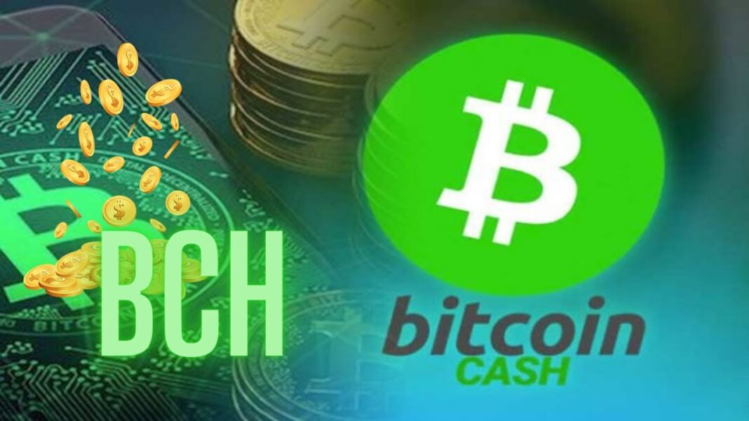 Se encuentra Bitcoin Cash en buen estado para continuar el rally